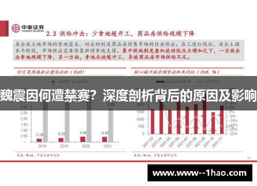 魏震因何遭禁赛？深度剖析背后的原因及影响