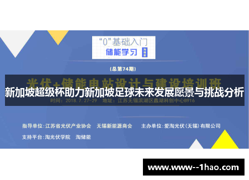 新加坡超级杯助力新加坡足球未来发展愿景与挑战分析
